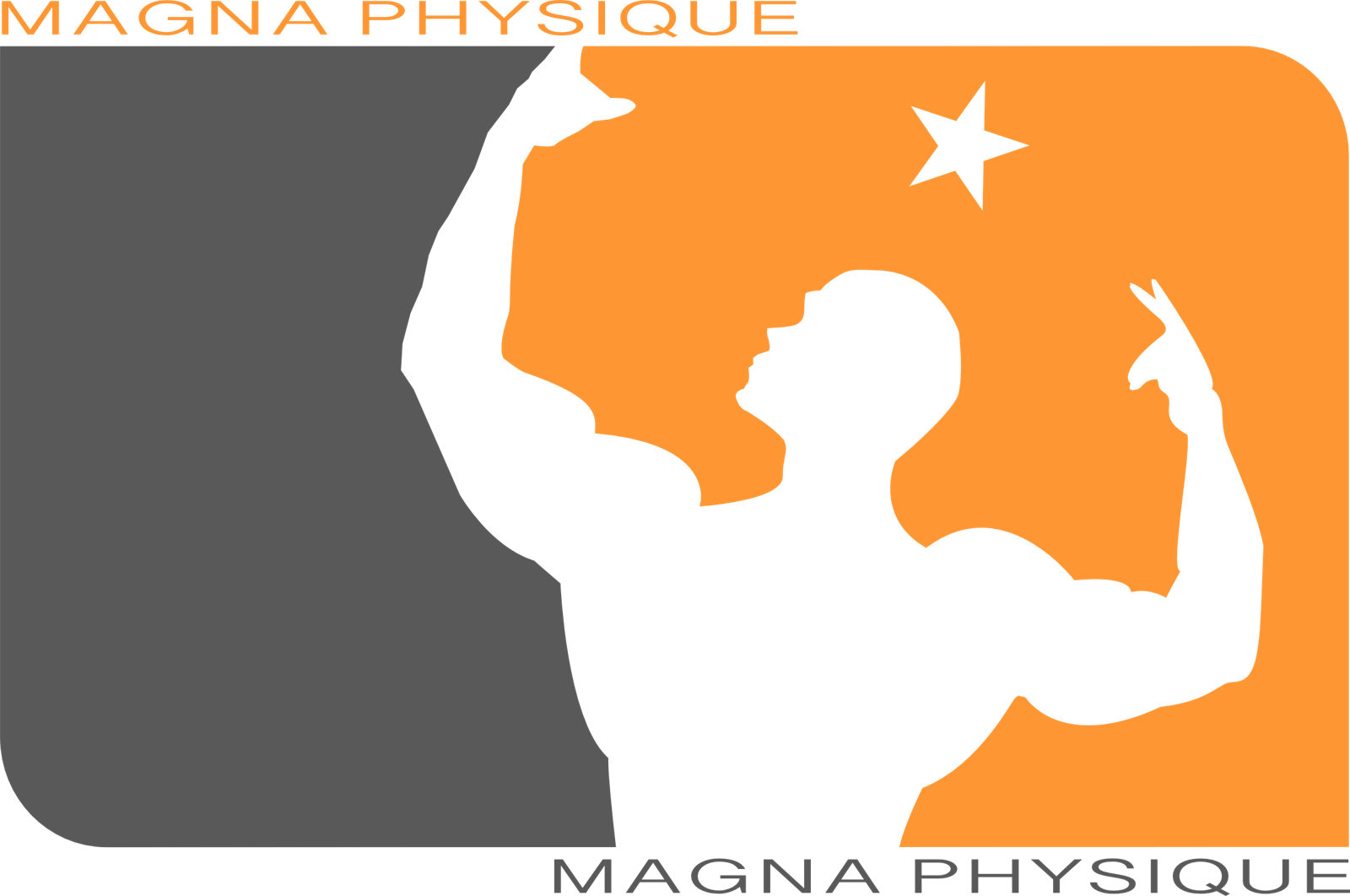 Magna Physique Pro League logo